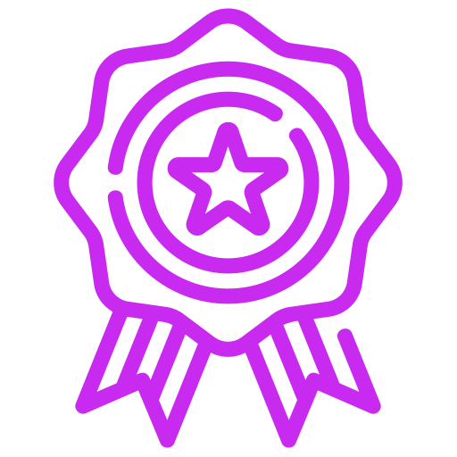 icon 1 Web Design Wexford